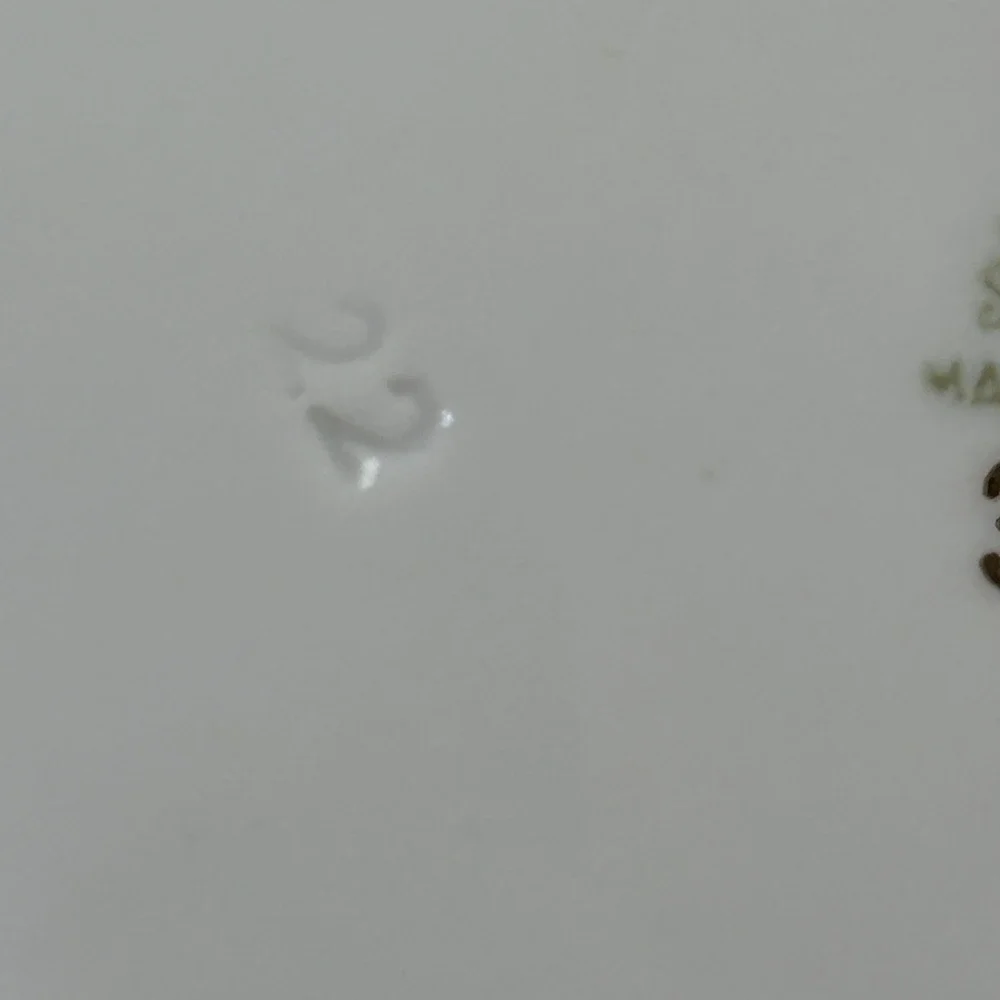 Favolina Karolina Jarolina Porcelain‎ Salad Plate 3879 Floral Silver Scalloped 9